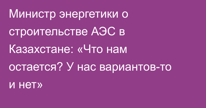 Министр энергетики о строительстве АЭС в Казахстане: «Что нам остается? У нас вариантов-то и нет»