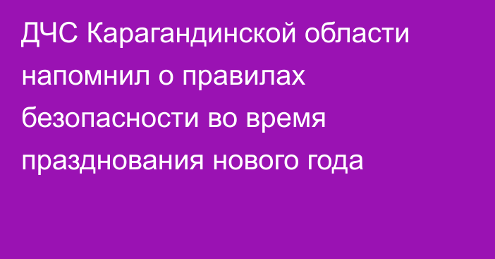 ДЧС Карагандинской области напомнил о правилах безопасности во время празднования нового года