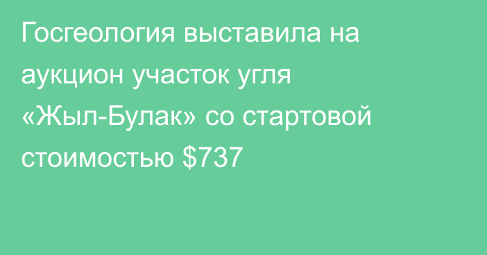 Госгеология выставила на аукцион участок угля «Жыл-Булак» со стартовой стоимостью $737