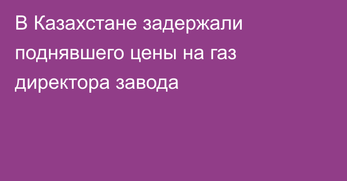 В Казахстане задержали поднявшего цены на газ директора завода