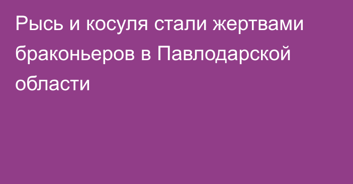 Рысь и косуля стали жертвами браконьеров в Павлодарской области