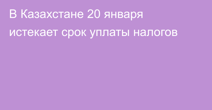 В Казахстане 20 января истекает срок уплаты налогов