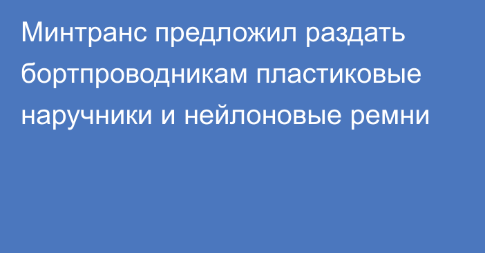 Минтранс предложил раздать бортпроводникам пластиковые наручники и нейлоновые ремни