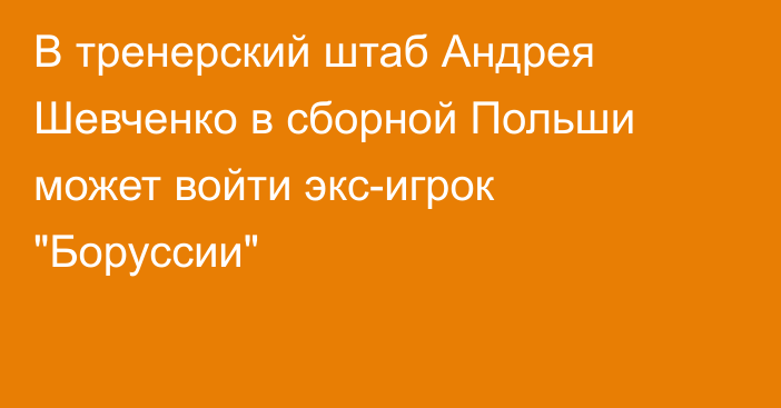 В тренерский штаб Андрея Шевченко в сборной Польши может войти экс-игрок 