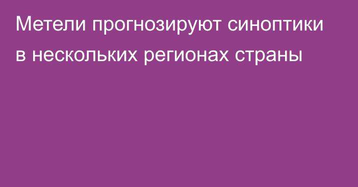 Метели прогнозируют синоптики в нескольких регионах страны