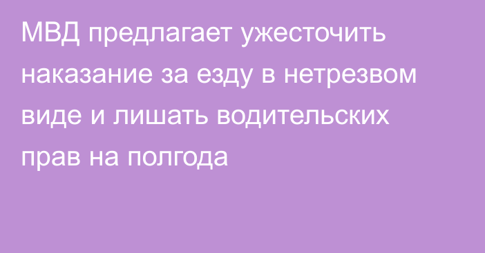 МВД предлагает ужесточить наказание за езду в нетрезвом виде и лишать водительских прав на полгода