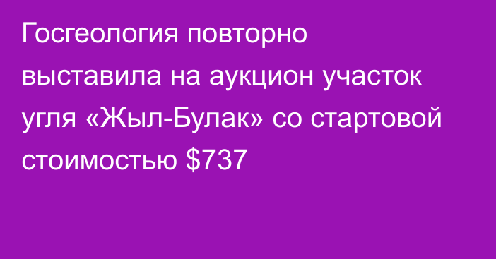 Госгеология повторно выставила на аукцион участок угля «Жыл-Булак» со стартовой стоимостью $737