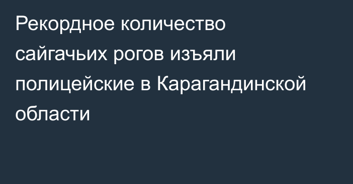 Рекордное количество сайгачьих рогов изъяли полицейские в Карагандинской области