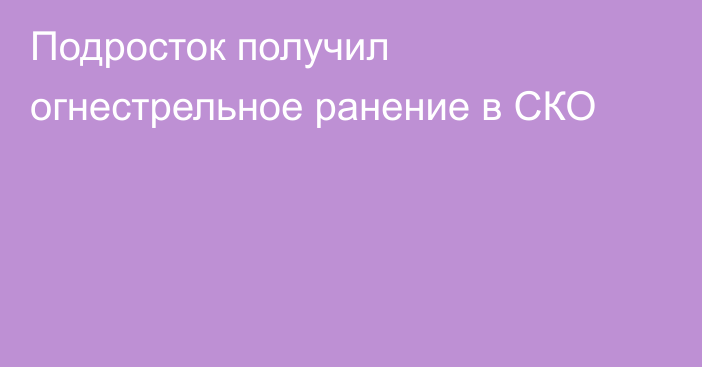 Подросток получил огнестрельное ранение в СКО