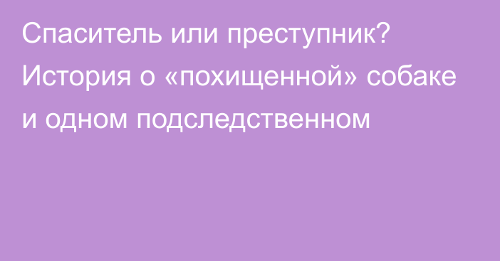 Спаситель или преступник? История о «похищенной» собаке и одном подследственном