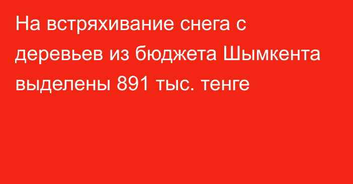 На встряхивание снега с деревьев из бюджета Шымкента выделены 891 тыс. тенге