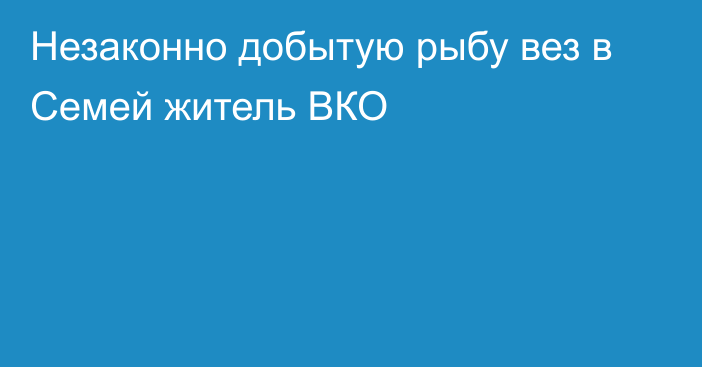 Незаконно добытую рыбу вез в Семей житель ВКО