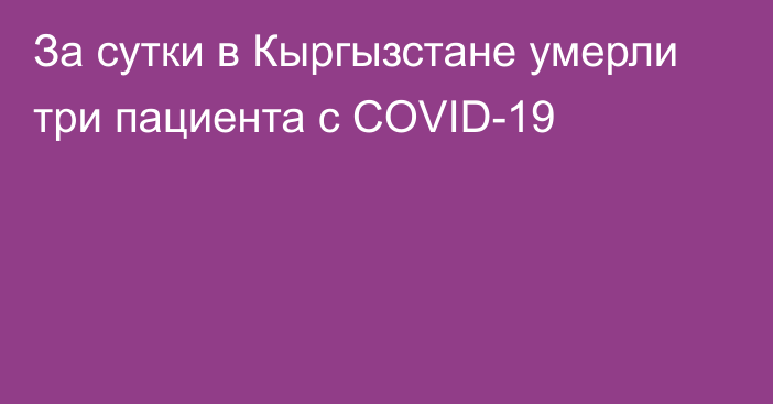 За сутки в Кыргызстане умерли три пациента с COVID-19