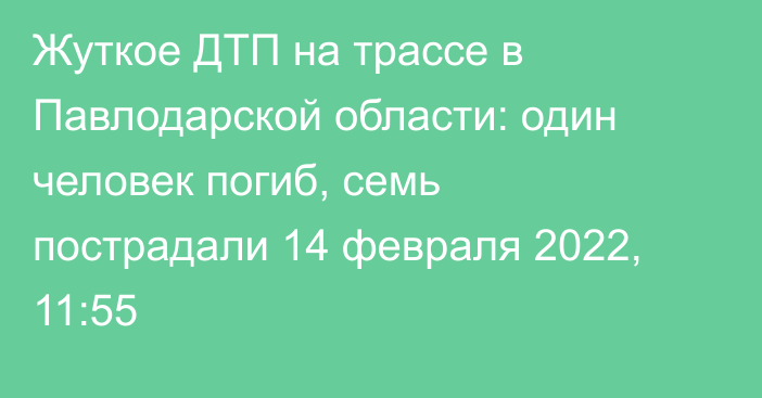 Жуткое ДТП на трассе в Павлодарской области: один человек погиб, семь пострадали
                14 февраля 2022, 11:55