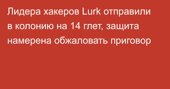 Лидера хакеров Lurk отправили в колонию на 14 глет, защита намерена обжаловать приговор