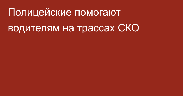 Полицейские помогают водителям на трассах СКО