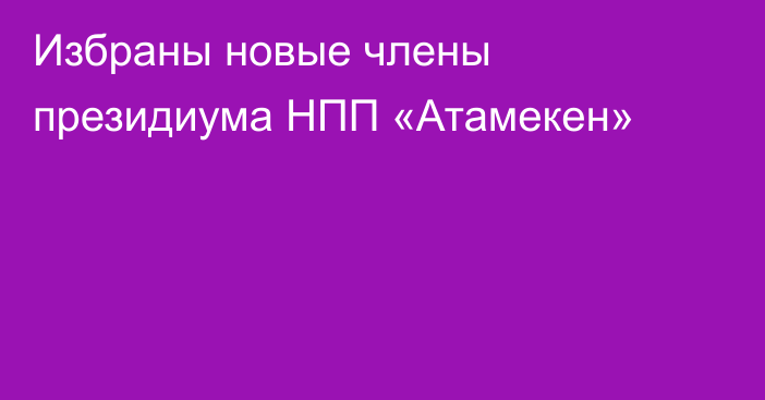 Избраны новые члены президиума НПП «Атамекен»