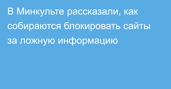 В Минкульте рассказали, как собираются блокировать сайты за ложную информацию