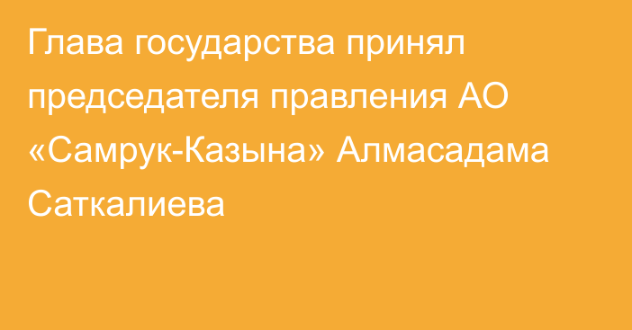 Глава государства принял председателя правления АО «Самрук-Казына» Алмасадама Саткалиева