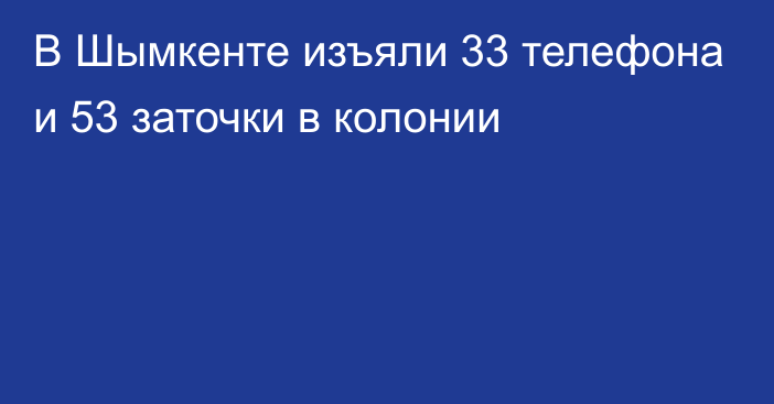 В Шымкенте изъяли 33 телефона и 53 заточки в колонии