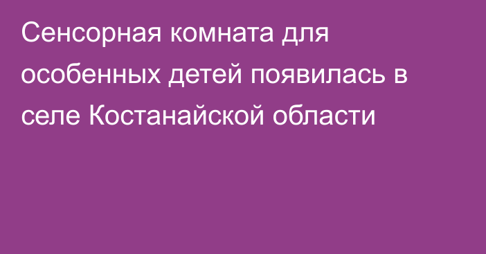 Сенсорная комната для особенных детей появилась в селе Костанайской области