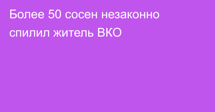 Более 50 сосен незаконно спилил житель ВКО