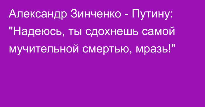 Александр Зинченко - Путину: 