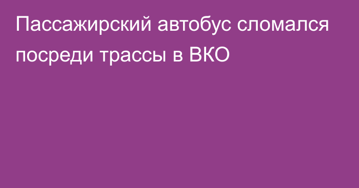 Пассажирский автобус сломался посреди трассы в ВКО