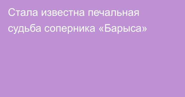 Стала известна печальная судьба соперника «Барыса»