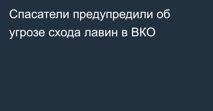 Спасатели предупредили об угрозе схода лавин в ВКО