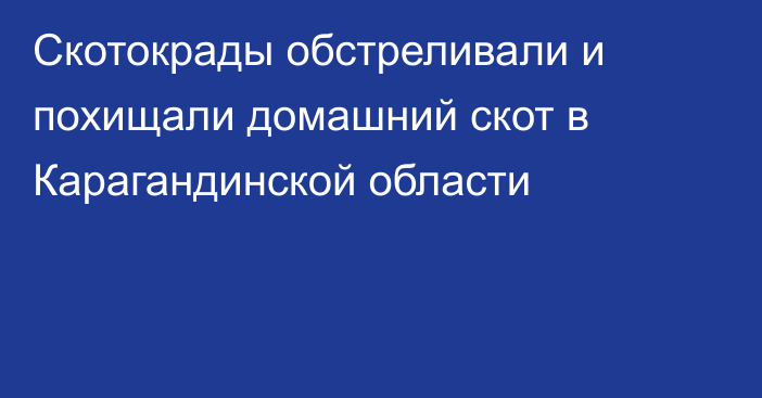 Скотокрады обстреливали и похищали домашний скот в Карагандинской области