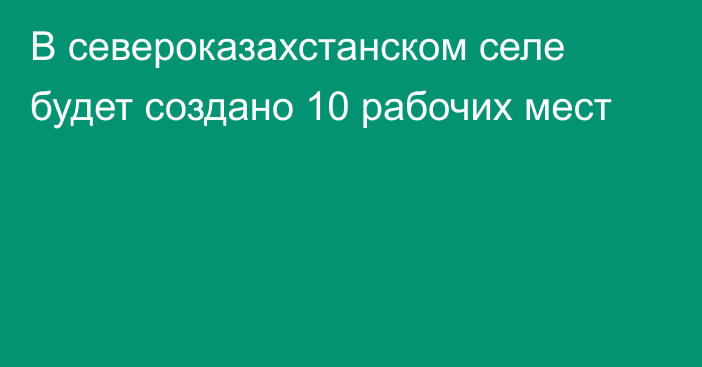 В североказахстанском селе будет создано 10 рабочих мест