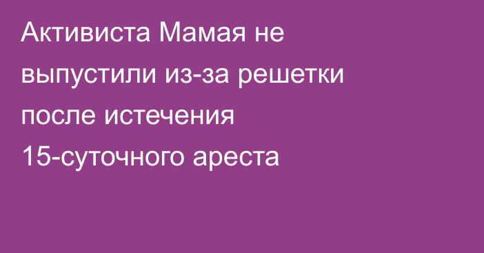 Активиста Мамая не выпустили из-за решетки после истечения 15-суточного ареста