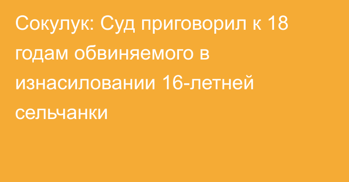 Сокулук: Суд приговорил к 18 годам обвиняемого в изнасиловании 16-летней сельчанки