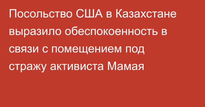 Посольство США в Казахстане выразило обеспокоенность в связи с помещением под стражу активиста Мамая