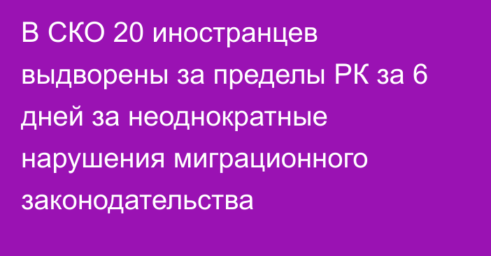 В СКО 20 иностранцев выдворены за пределы РК за 6 дней за неоднократные нарушения миграционного законодательства