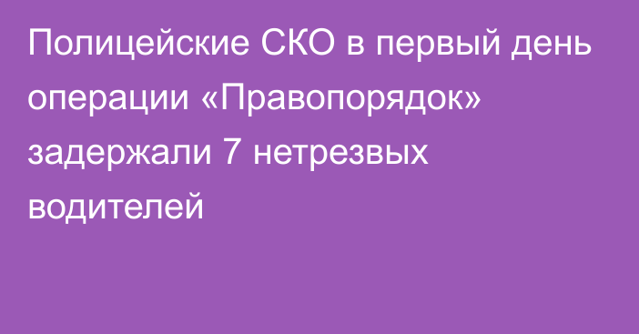 Полицейские СКО в первый день операции «Правопорядок» задержали 7 нетрезвых водителей