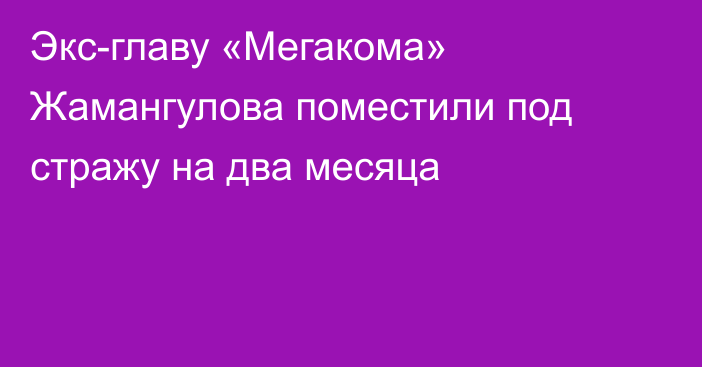 Экс-главу «Мегакома» Жамангулова поместили под стражу на два месяца