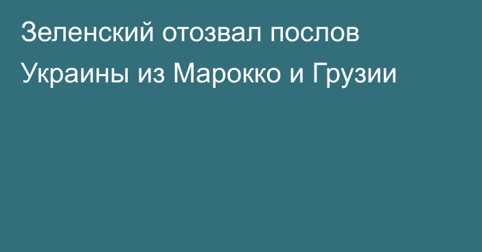 Зеленский отозвал послов Украины из Марокко и Грузии