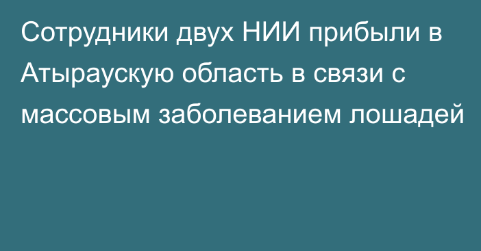 Сотрудники двух НИИ прибыли в Атыраускую область в связи с массовым заболеванием лошадей