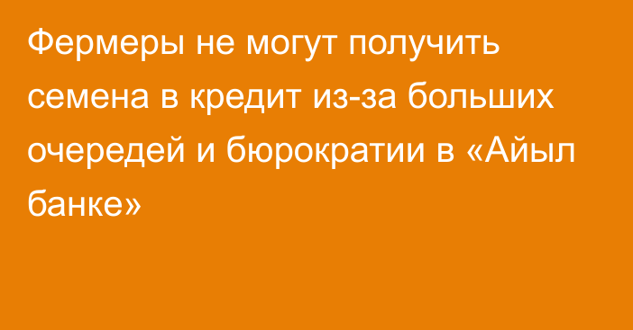 Фермеры не могут получить семена в кредит из-за больших очередей и бюрократии в «Айыл банке»