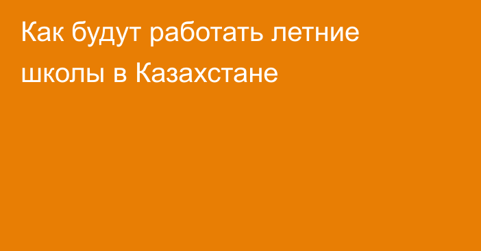 Как будут работать летние школы в Казахстане