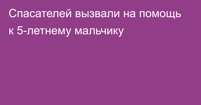 Спасателей вызвали на помощь к 5-летнему мальчику