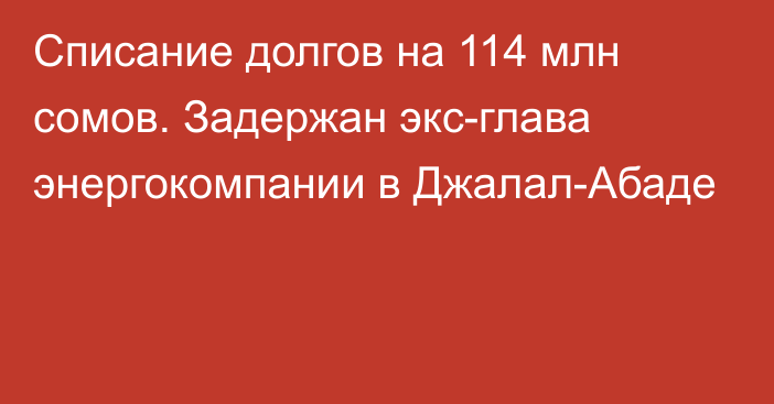 Списание долгов на 114 млн сомов. Задержан экс-глава энергокомпании в Джалал-Абаде