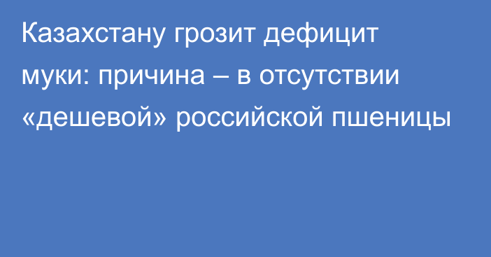 Казахстану грозит дефицит муки: причина – в отсутствии «дешевой» российской пшеницы