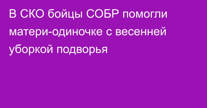 В СКО бойцы СОБР помогли матери-одиночке с весенней уборкой подворья