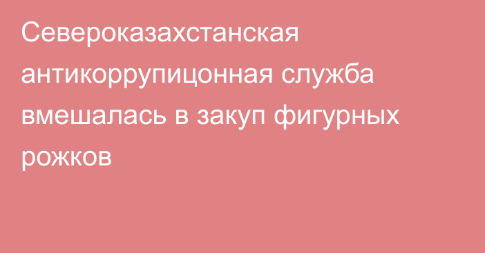 Североказахстанская антикоррупицонная служба вмешалась в закуп фигурных рожков