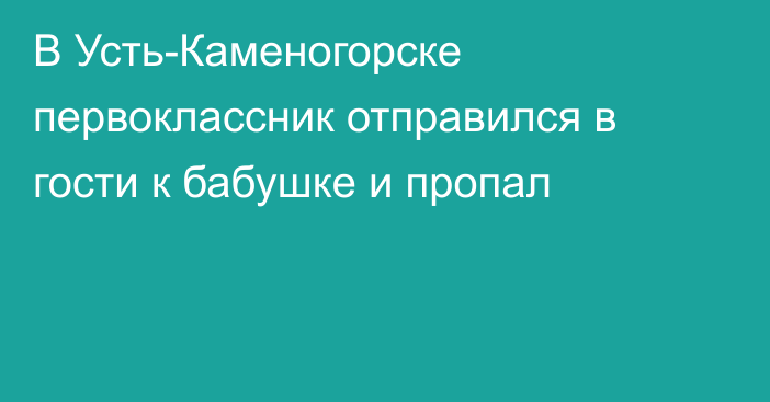 В Усть-Каменогорске первоклассник отправился в гости к бабушке и пропал