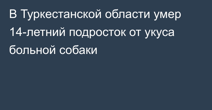 В Туркестанской области умер 14-летний подросток от укуса больной собаки