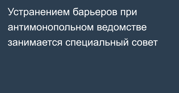 Устранением барьеров при антимонопольном ведомстве занимается специальный совет